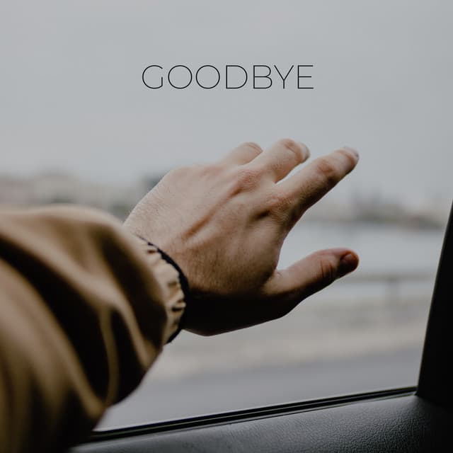 Goodbye cover